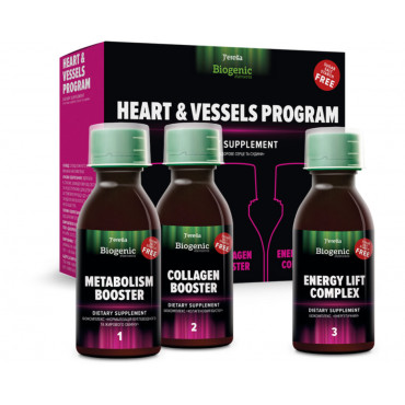 Heart & Vessels Program